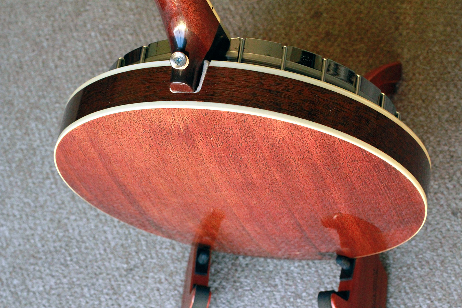 Pure Banjo Maya Tenor Banjo